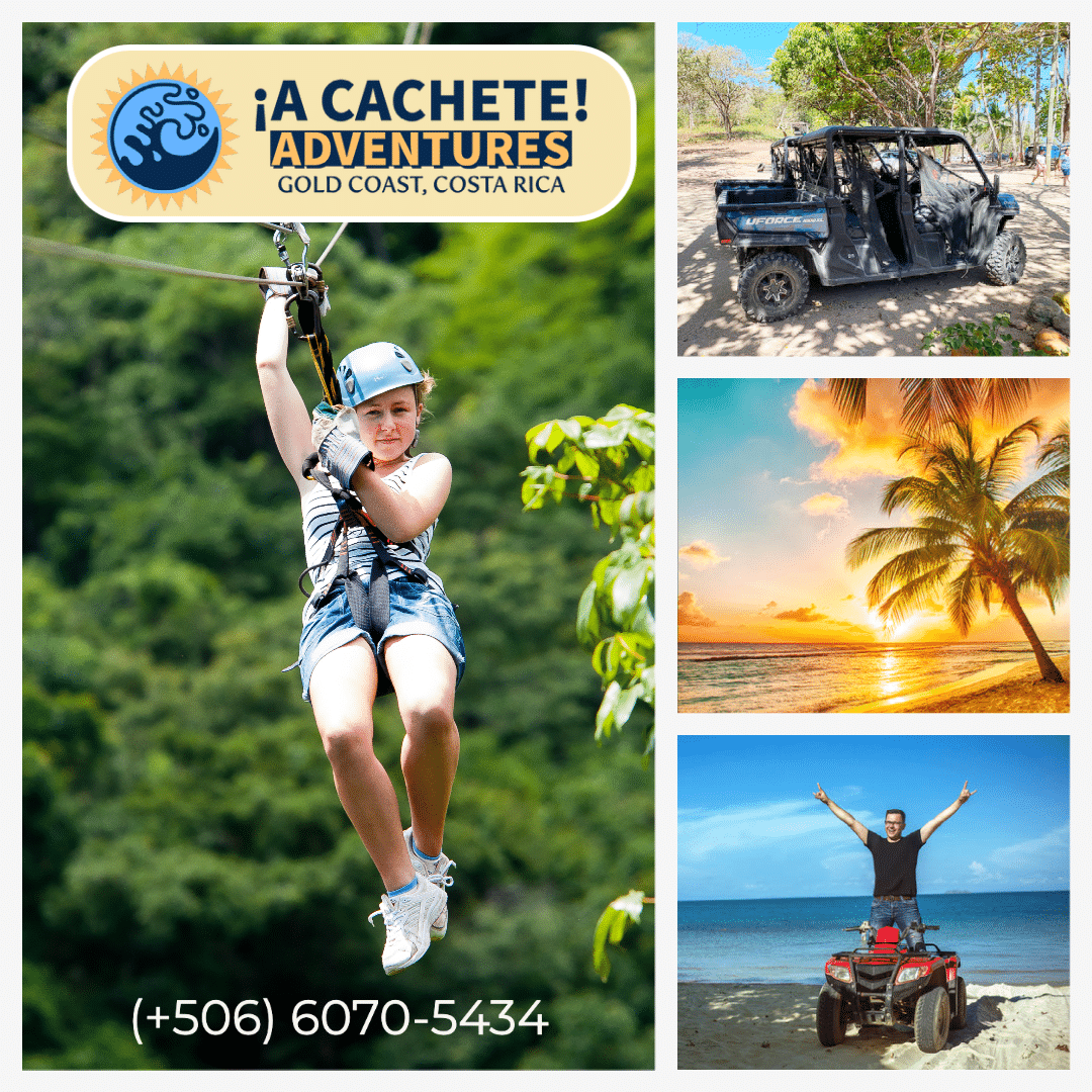 Example of structured tour options a tourism operator can present clearly